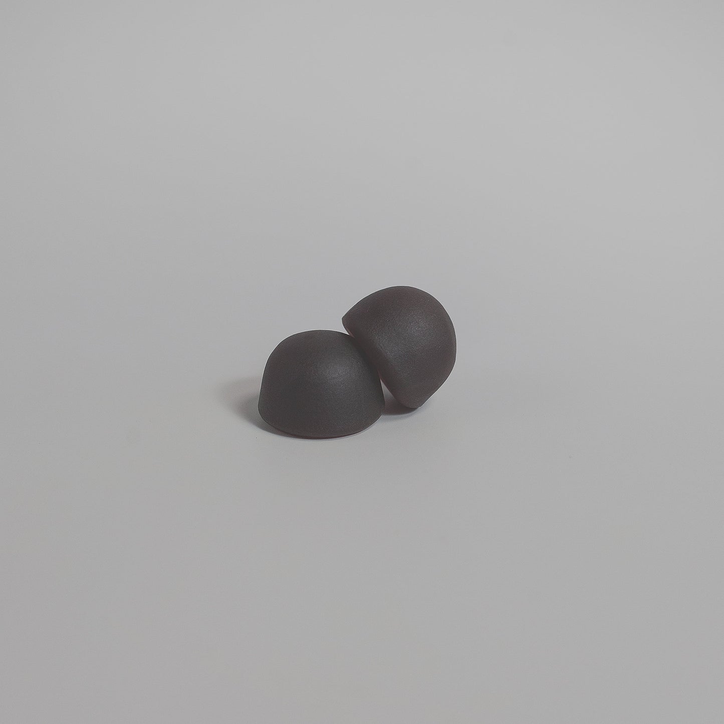 Complexe d'extraits de champignons